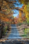 DSC_7900-Edit