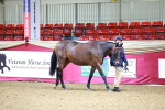 SBM_00239