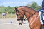 BPP_0543