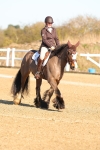 SBM_003488