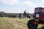 Guernsey Agricultural Show 2021-238