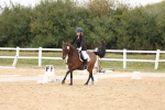 SBM_00919