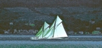 Fife Boats