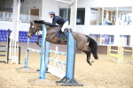 Class 5 - Pony Foxhunter - 1.10m portfolio