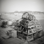 Crab Traps, Conyw
