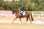 SBM_001855