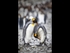King Penguins Preening