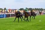 280726-Race 4-Vega King-0946