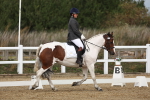 SBM_001001