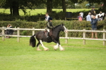 SBM_71694