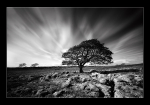 Standing Alone