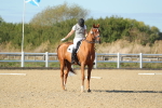 SBM_002201