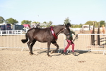 SBM_00173