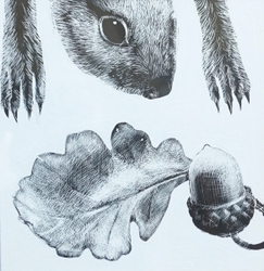 Squirrel and acorn