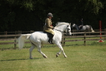 SBM_09609