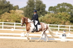 SBM_015453