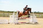 SBM_005900