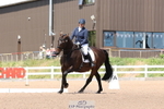 Cls 4B Snr Novice 30 portfolio