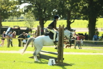 SBM_39203