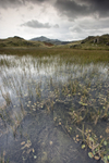Stickle Tarn