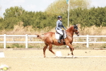 SBM_018160