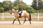 SBM_006440