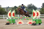 SBM_04385