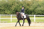 SBM_002979