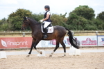British Dressage portfolio