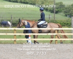BPP_2733