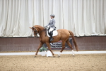 SBM_019608