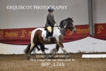 BPP_1745