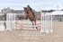 BPP_4966