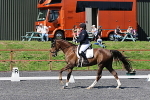 SIAL0361