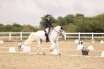 SBM_004583