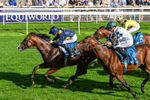 060926-Race 5-Extremely Zain-0337
