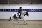 AJG_0690