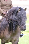 SIAL8269