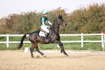 SBM_003359