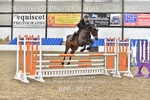 BPP_3977