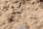 240706A-171351-04591