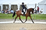 108-LYJADOR-Clementine_Crosthwaite_Eyre-WEDTrotUp+DR portfolio