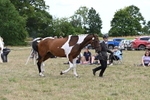 WJ6_6067