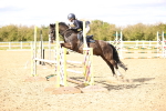 SBM_003585