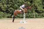 O-663-William.Fox-Pitt-GRANSTOWN.STAR.LOVE portfolio