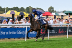 130826-Race 5-Wardlaw-9476