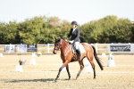 SBM_016901