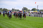210826-Race 5-Plage De Havre-6721