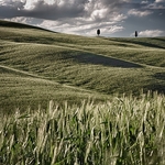 Landscape-061