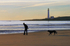 My dog,the beach and I